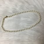 D521C99A-39B3-43CB-9FD0-3A3A6B71B2AE